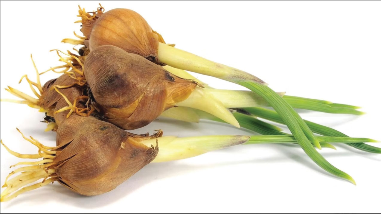 香精與香料(19)-香精的分類、配制與調(diào)和