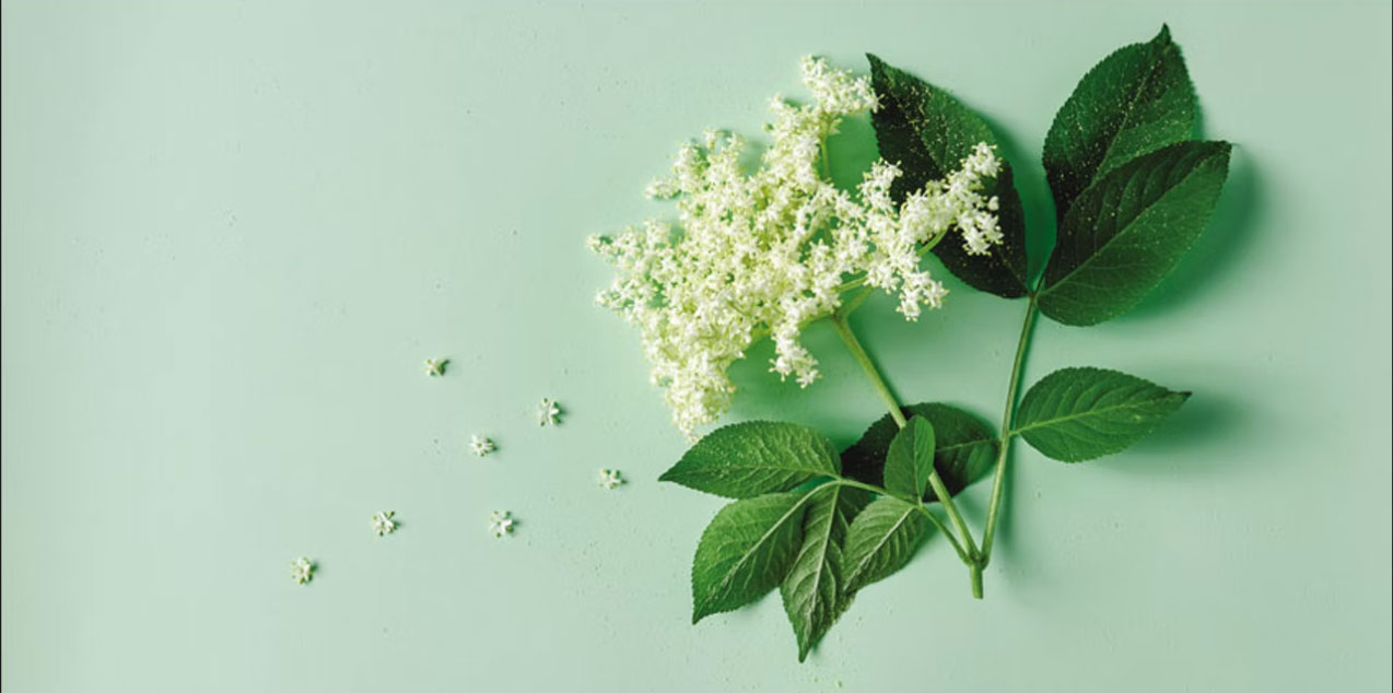 香精與香料(19)-香精的分類、配制與調(diào)和