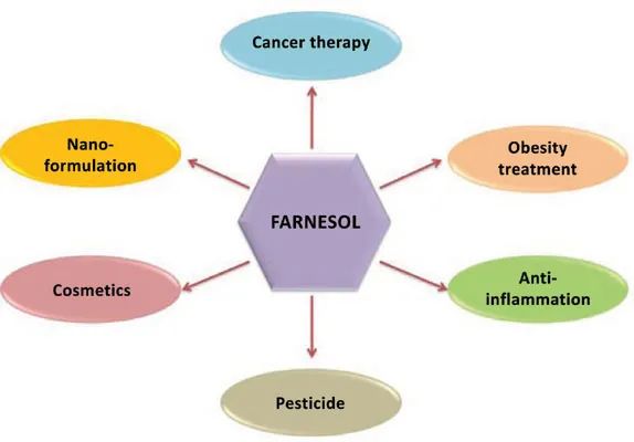 香精與香料(45)—金合歡醛、醇與金合歡油