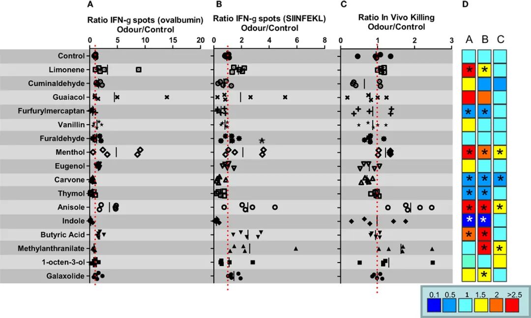 香精與香料(47)—香芹酮與葛縷子、留蘭香、蒔蘿