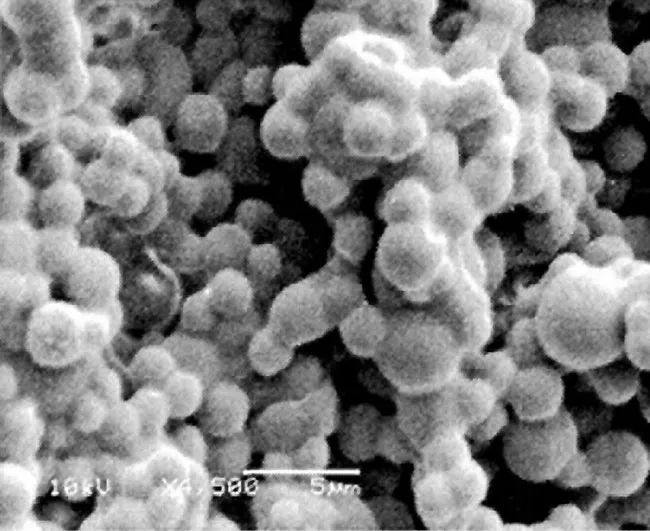 香水的香氣從何而來(lái)？