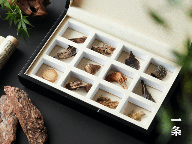 “神農(nóng)嘗百草”，教你用氣味元素分析法，習香、品香！