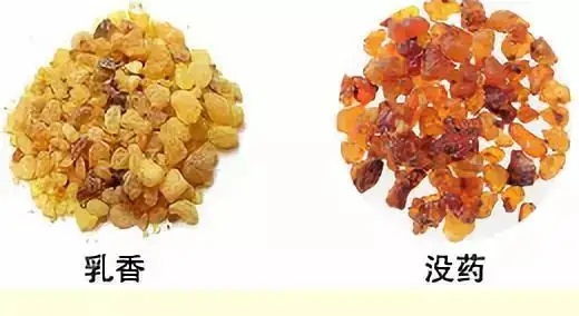 乳香，Boswellia Carterri Birdw 橄欖科
