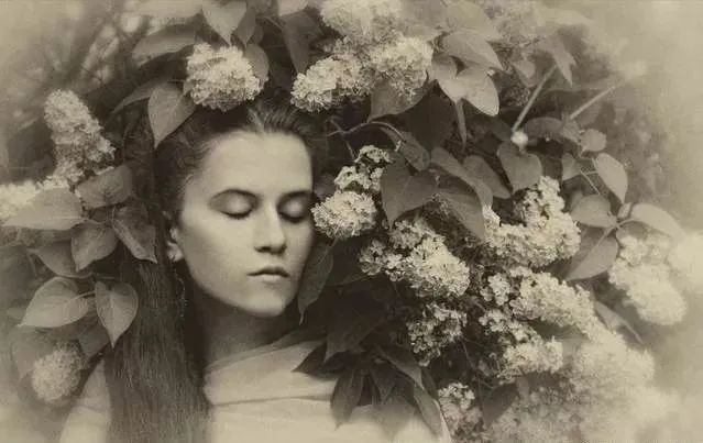 芳香療法，一個(gè)起源于5000年前的神秘學(xué)科