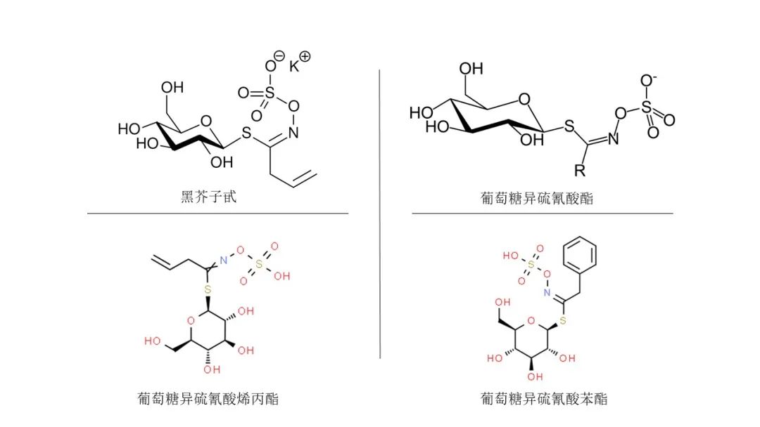 香精與香料(149)—辣根
