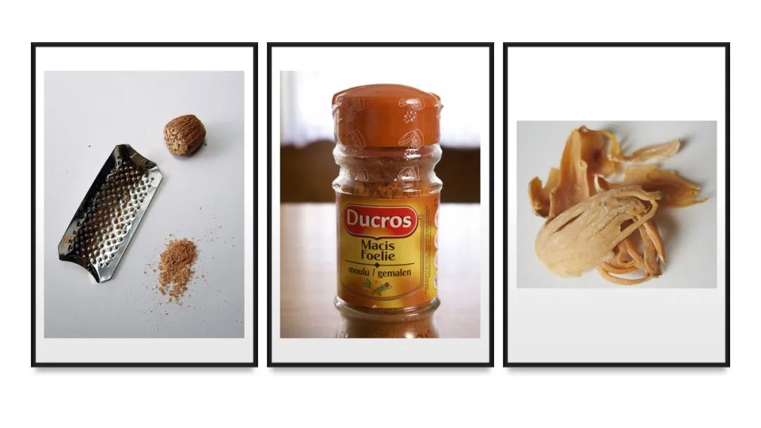 香精與香料(152)—豆蔻 香精與香料(152)—豆蔻