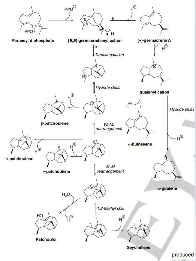 生物合成香料的化學組成、可持續(xù)性和天然性