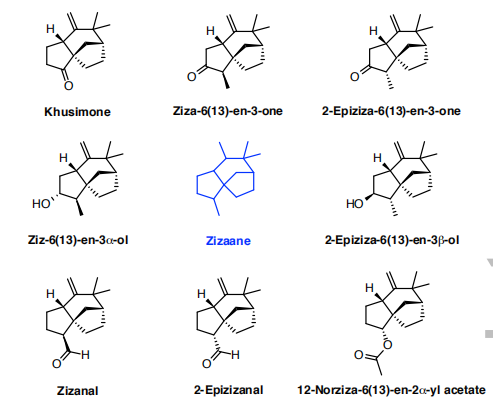 生物合成香料的化學(xué)組成、可持續(xù)性和天然性