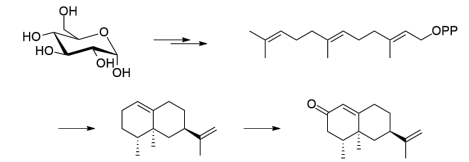 生物合成香料的化學(xué)組成、可持續(xù)性和天然性