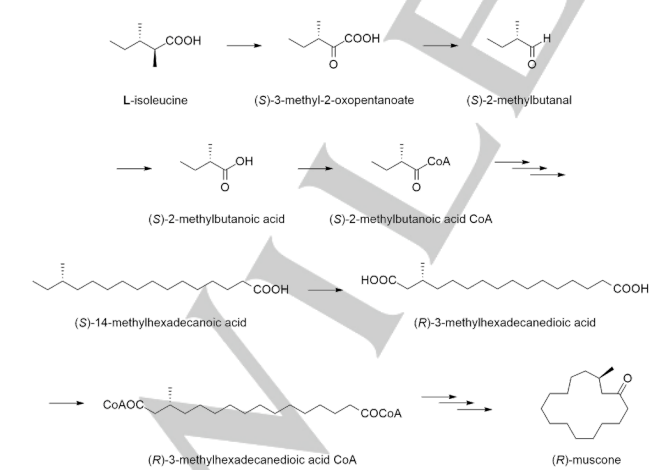 生物合成香料的化學(xué)組成、可持續(xù)性和天然性