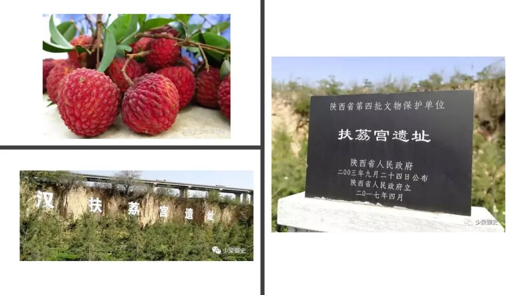 香精與香料(162)—荔枝 香精與香料(162)—荔枝