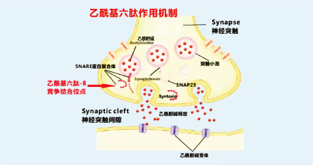 2022年護(hù)膚熱門功效成分有哪些？