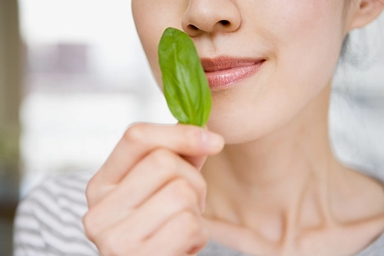 香料香精高新企業(yè)簡介(6)——OnScent 香料香精高新企業(yè)簡介(6)——OnScent