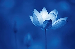 香料香精高新企業(yè)簡介(6)——OnScent 香料香精高新企業(yè)簡介(6)——OnScent