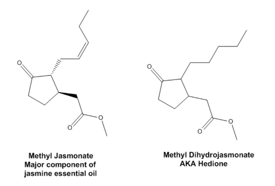 香料筆記：二氫茉莉酮酸甲酯，本身就是一種香水