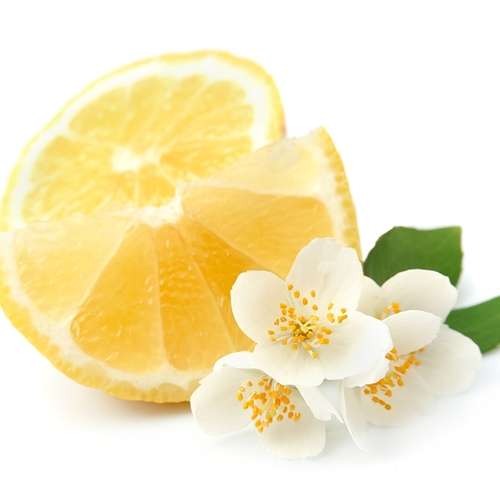 香料筆記：二氫茉莉酮酸甲酯，本身就是一種香水