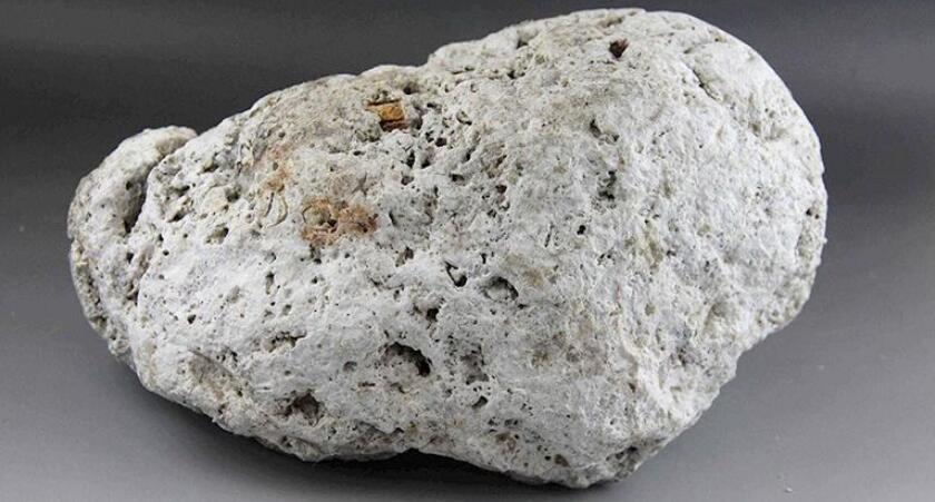 香精知識(4)—龍涎香香精 香精知識(4)—龍涎香香精