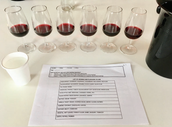 調(diào)香筆記(9)——多感官味覺感知:感官內(nèi)部和感官之間的調(diào)和、混合、融合和配對