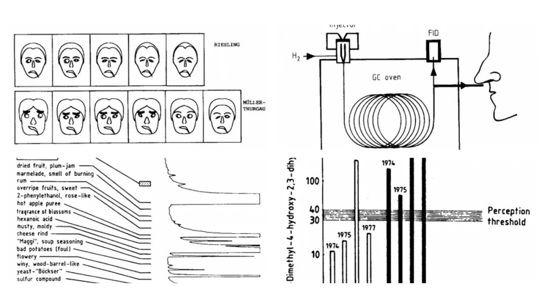 調(diào)香筆記(9)——多感官味覺感知:感官內(nèi)部和感官之間的調(diào)和、混合、融合和配對