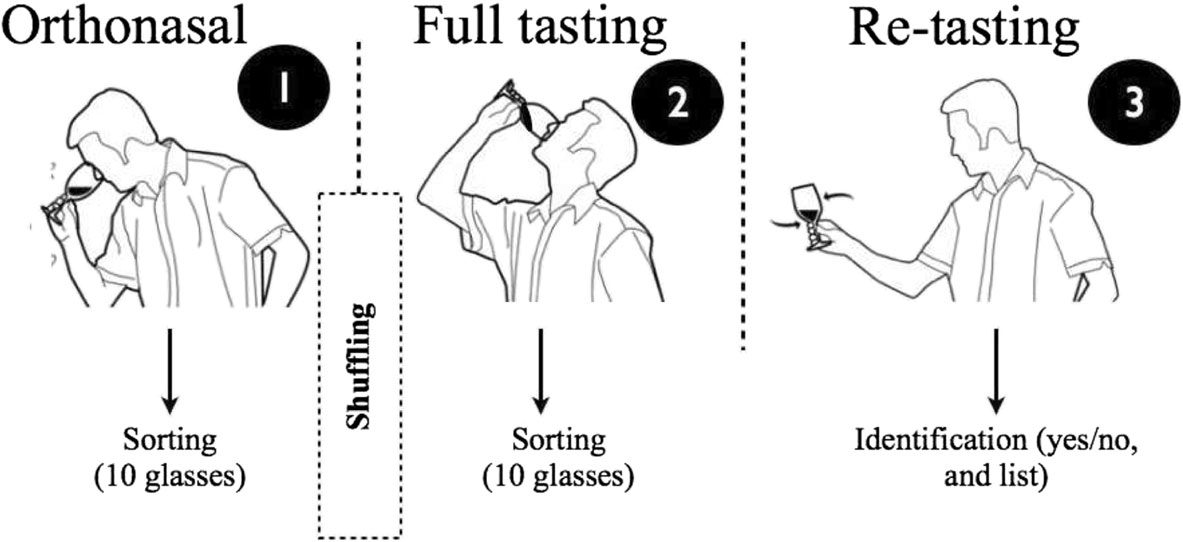 調(diào)香筆記(9)——多感官味覺感知:感官內(nèi)部和感官之間的調(diào)和、混合、融合和配對