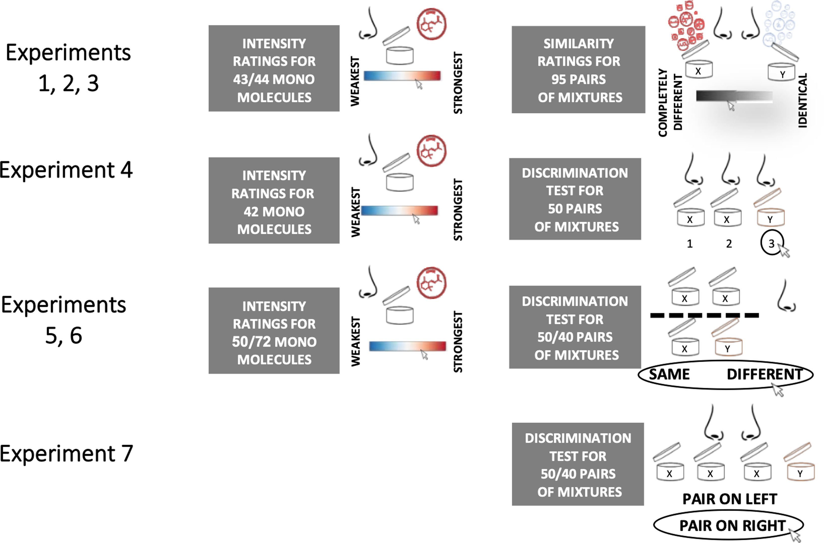 調(diào)香筆記(9)——多感官味覺感知:感官內(nèi)部和感官之間的調(diào)和、混合、融合和配對