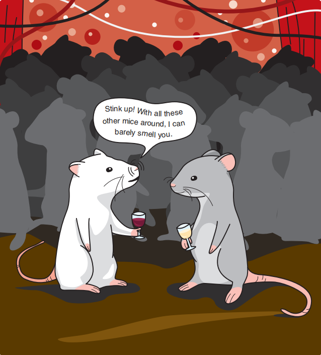 調(diào)香筆記(9)——多感官味覺感知:感官內(nèi)部和感官之間的調(diào)和、混合、融合和配對