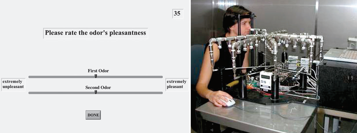 調(diào)香筆記(10)——多感官味覺感知:感官內(nèi)部和感官之間的調(diào)和、混合、融合和配對(duì)