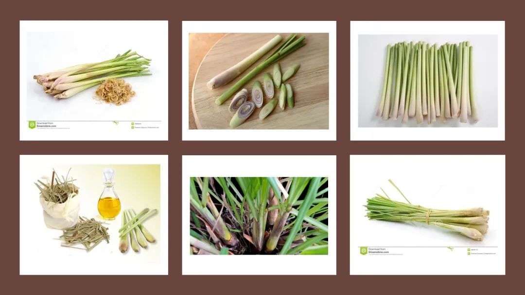 世界地理香料索引(5)—World Geographic Spice Index 世界地理香料索引(5)—World Geographic Spice Index