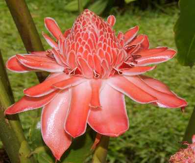 世界地理香料索引(5)—World Geographic Spice Index 世界地理香料索引(5)—World Geographic Spice Index