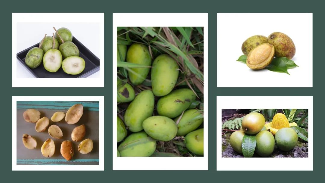 世界地理香料索引(7)—World Geographic Spice Index 世界地理香料索引(7)—World Geographic Spice Index