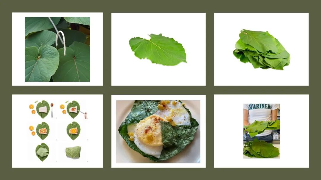 世界地理香料索引(8)—World Geographic Spice Index 世界地理香料索引(8)—World Geographic Spice Index