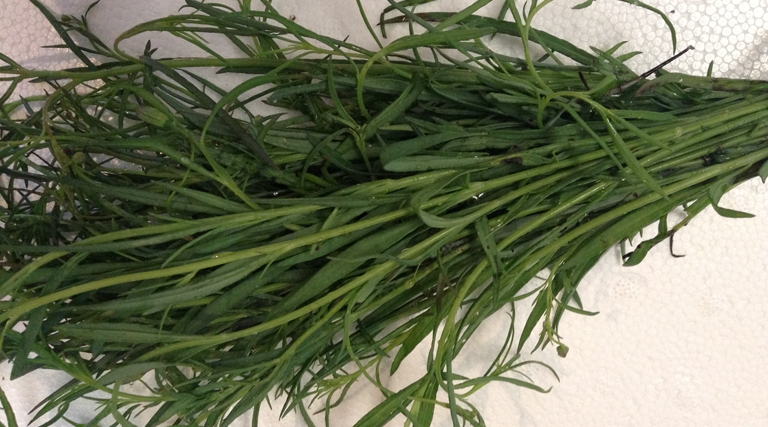 世界地理香料索引(8)—World Geographic Spice Index 世界地理香料索引(8)—World Geographic Spice Index