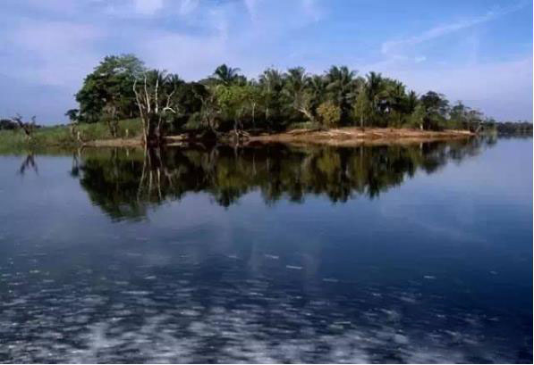 聞名全球的四大香料島 聞名全球的四大香料島