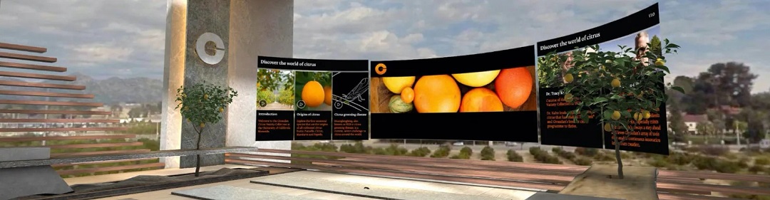 虛擬現(xiàn)實商業(yè)-奇華頓虛擬口味旅行?柑橘-把風味創(chuàng)造到下一個水平 虛擬現(xiàn)實商業(yè)-奇華頓虛擬口味旅行?柑橘-把風味創(chuàng)造到下一個水平