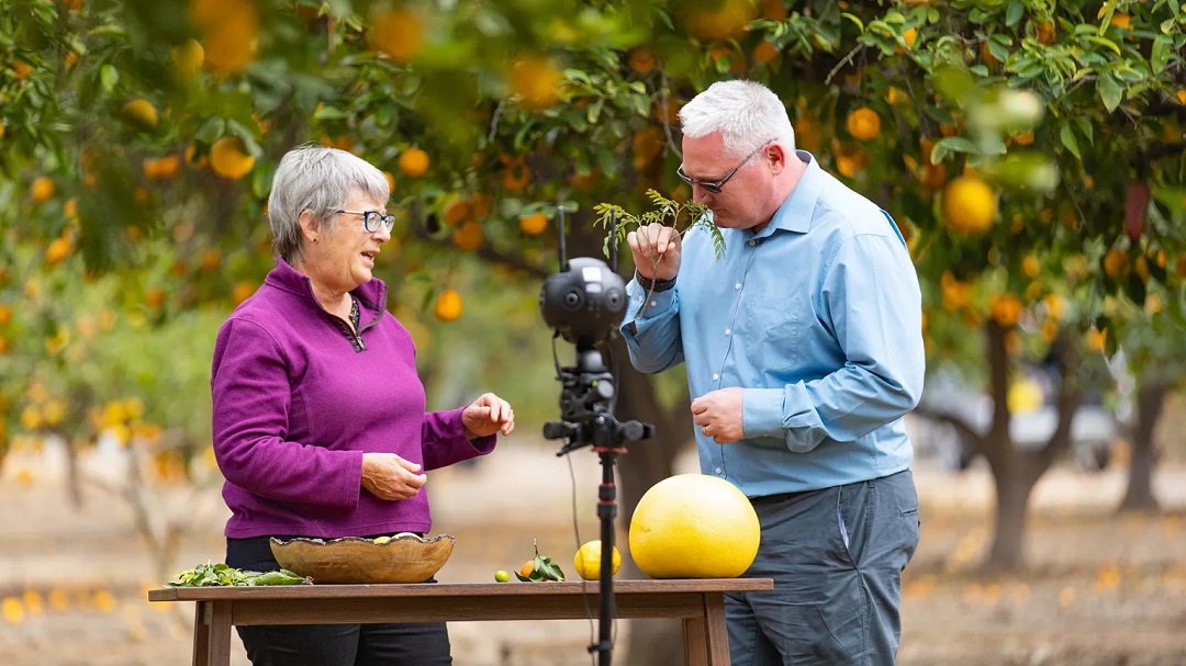 虛擬現(xiàn)實商業(yè)-奇華頓虛擬口味旅行?柑橘-把風味創(chuàng)造到下一個水平 虛擬現(xiàn)實商業(yè)-奇華頓虛擬口味旅行?柑橘-把風味創(chuàng)造到下一個水平