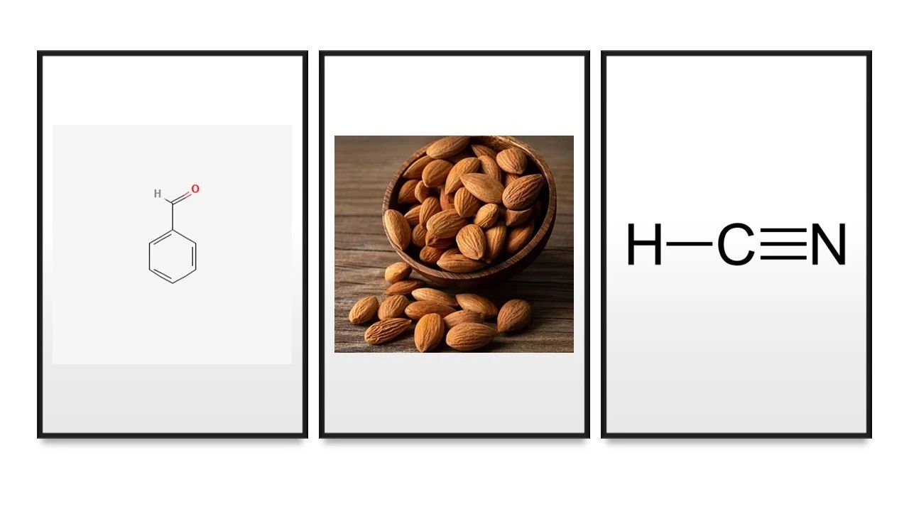 人工智能預(yù)測人類聞到的化學(xué)物質(zhì)是什么氣味 人工智能預(yù)測人類聞到的化學(xué)物質(zhì)是什么氣味