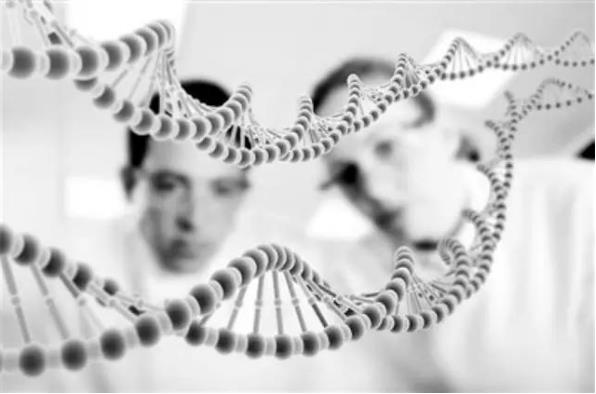 酚類(lèi)化合物在調和香精中有什么用途？