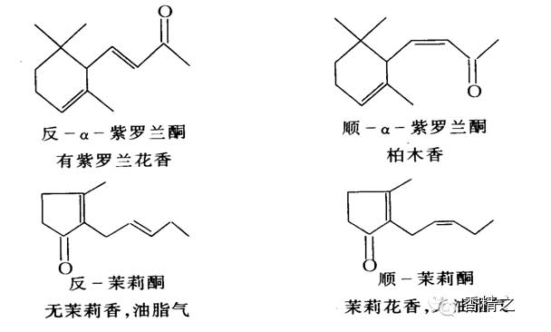 香料的分子結(jié)構(gòu)與香氣的關(guān)系 香料的分子結(jié)構(gòu)與香氣的關(guān)系