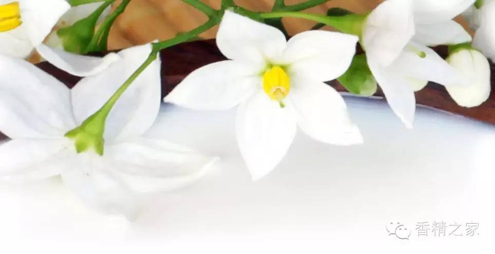 一款香水里有多少成分才足夠？