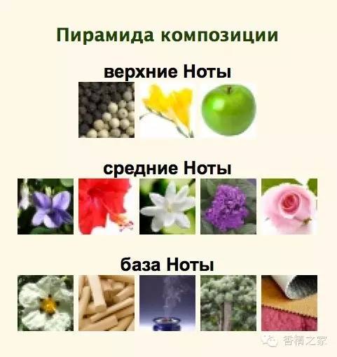 一款香水里有多少成分才足夠？