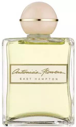 小蒼蘭:鮮花初長(zhǎng)成 小蒼蘭:鮮花初長(zhǎng)成