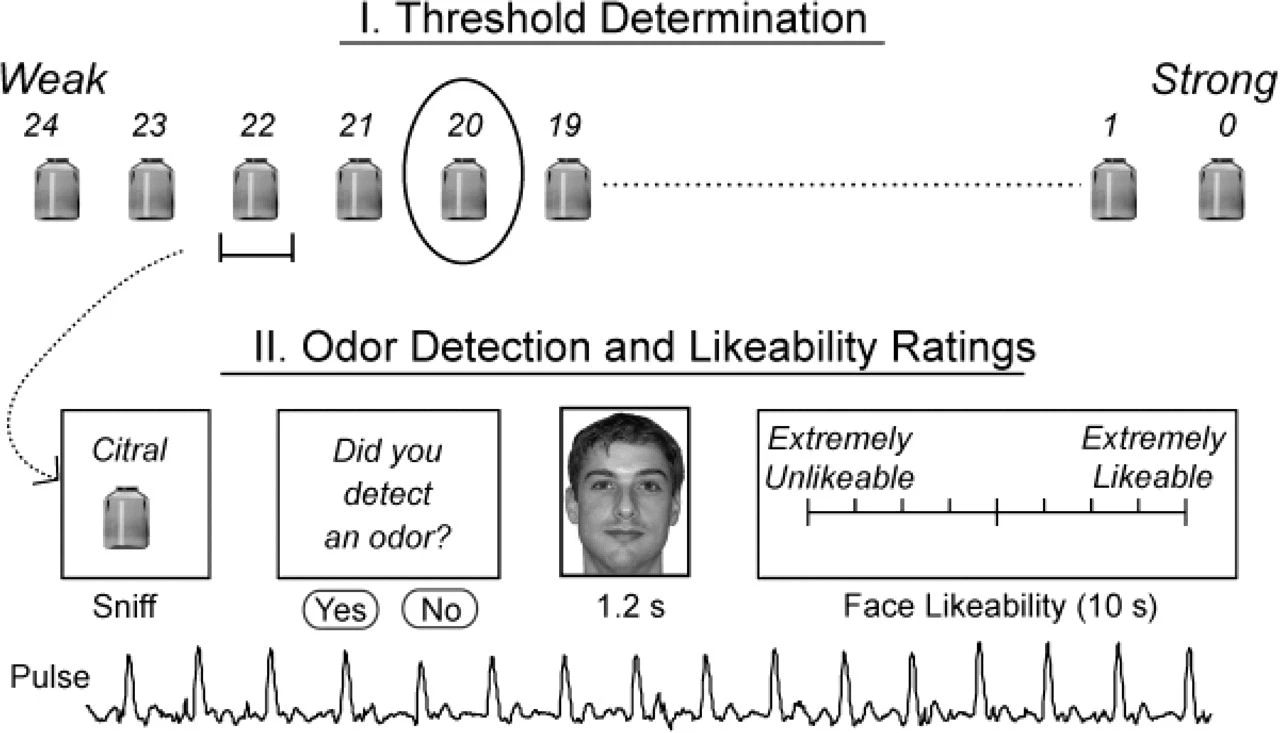 腦電圖與香水有什么關(guān)系? 腦電圖與香水有什么關(guān)系?