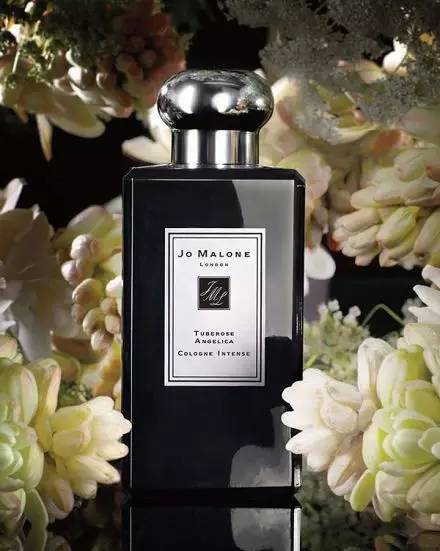 愛上晚香玉 愛上晚香玉