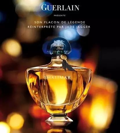 陽光中的“佛手柑”，在拿破侖時期風(fēng)靡“全城”