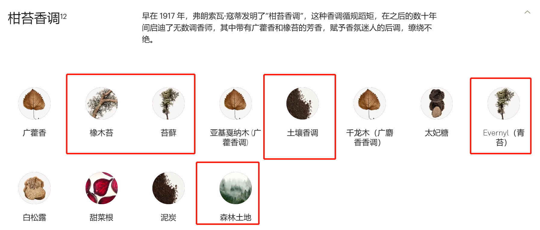 香水中的灌木叢氣息 香水中的灌木叢氣息