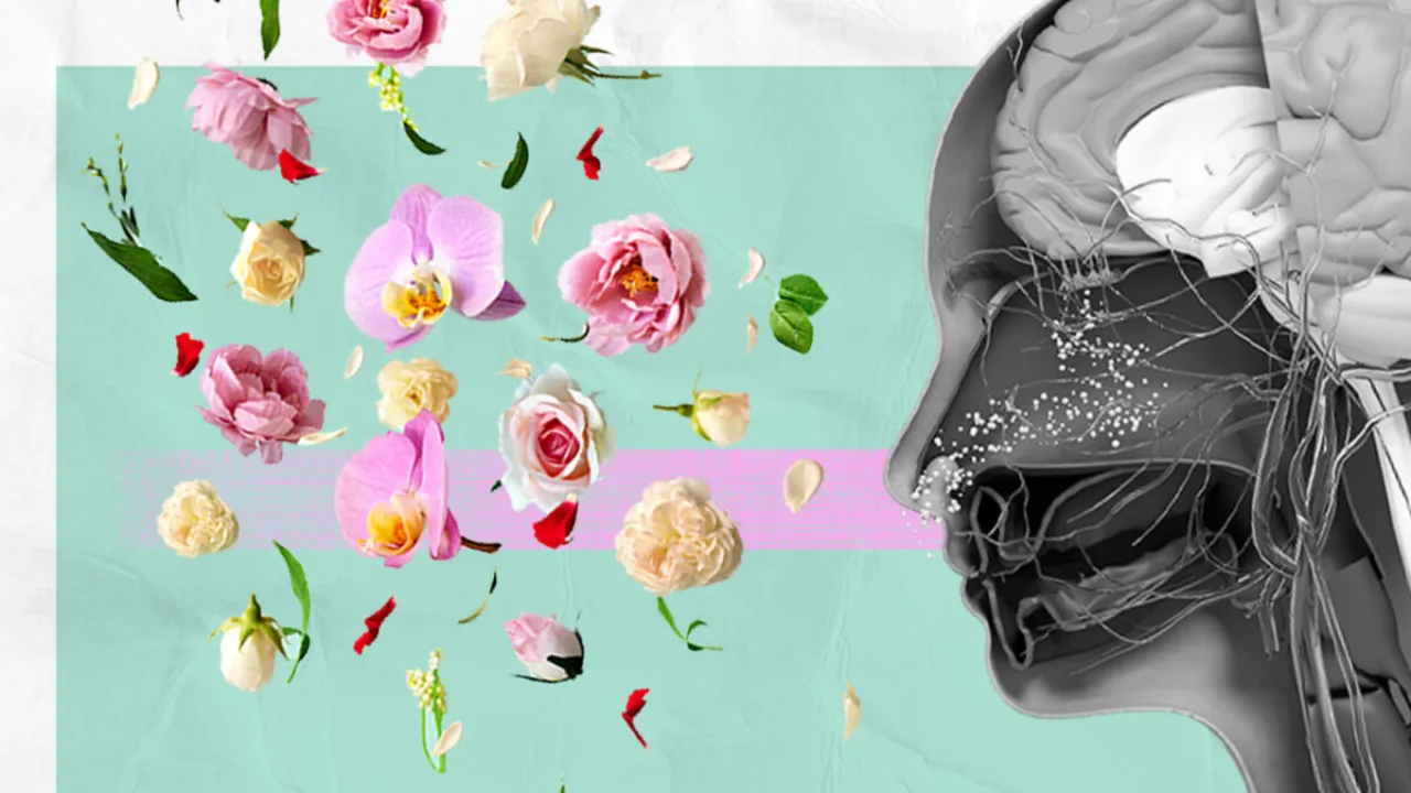 7大人工智能技術(shù)在香精領(lǐng)域的發(fā)展 7大人工智能技術(shù)在香精領(lǐng)域的發(fā)展