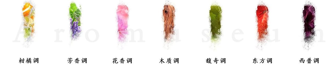 為什么有人一身果香，有人卻一身藿香？