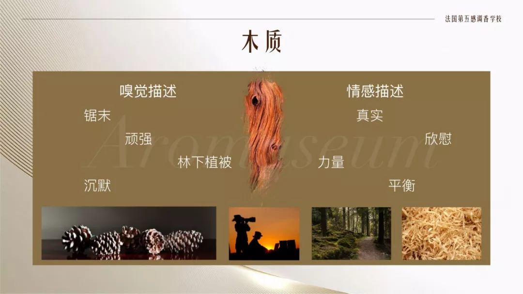 為什么有人一身果香，有人卻一身藿香？