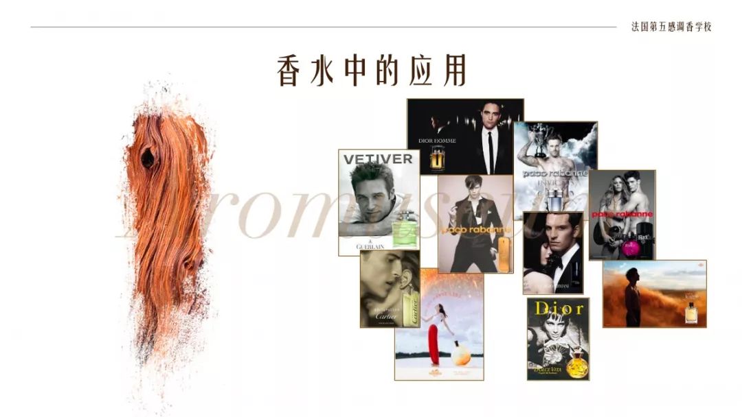 為什么有人一身果香，有人卻一身藿香？