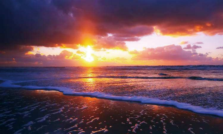 常見的香氛香型都有哪些 常見的香氛香型都有哪些